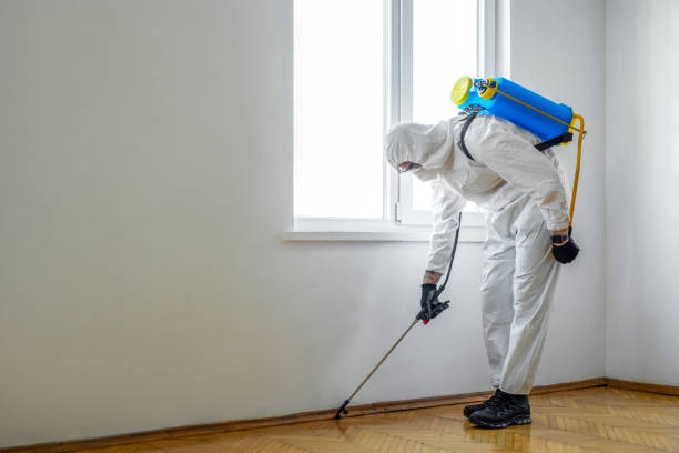 Pest Prevention Services in South Temple, PA