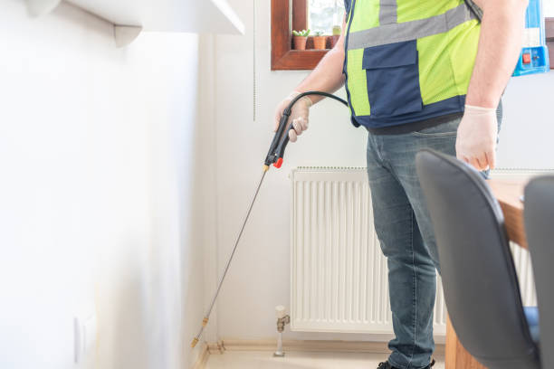 Best Wasp Removal Services  in South Temple, PA